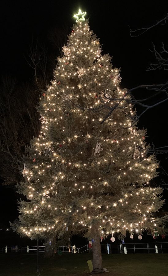 Christmas Tree Displayed At Witmer Park