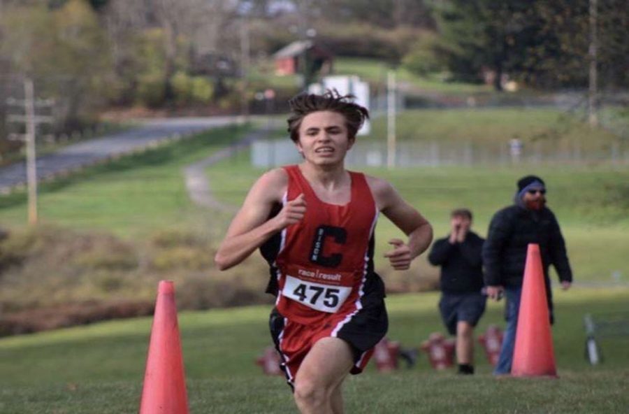 Clearfield%E2%80%99s+Ben+Luzier+competes+at+PIAA+cross+country+state+championship