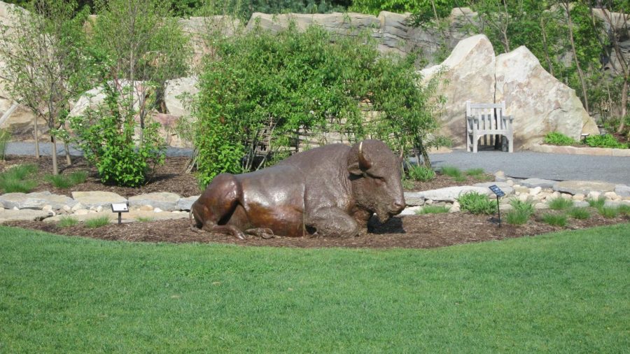The Bison Statue at the Botanical Gardens at Penn State 