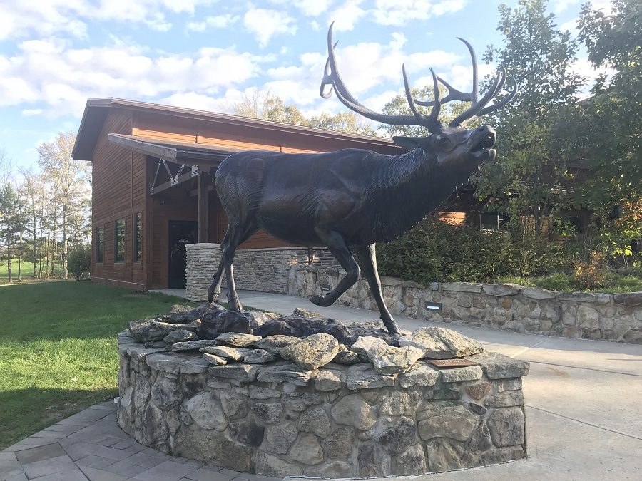 Elk+statue+at+the+Elk+Country+Visitor+Center