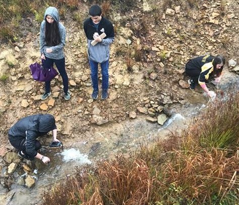 A few of the students collecting their data.