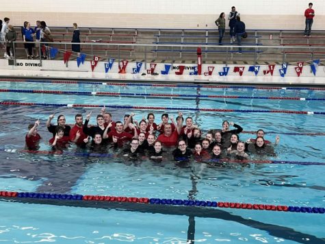 Clearfield Swimmers Take on the Post-Season