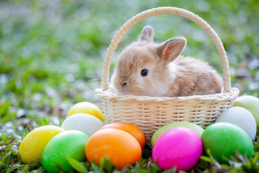 Easter Scramble