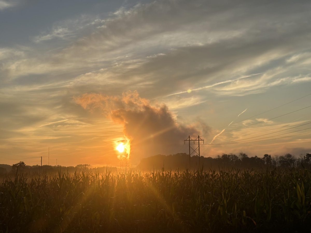 Photograph of a sunset taken in a field. 